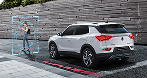 Brake Assist System (BAS)