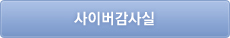 사이버감사실